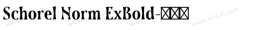 Schorel Norm ExBold字体转换